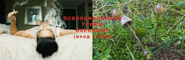 MDMA Premium VHQ Бронницы