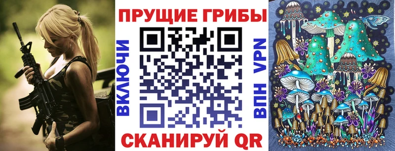 купить  цена  Торопец  Галлюциногенные грибы прущие грибы 